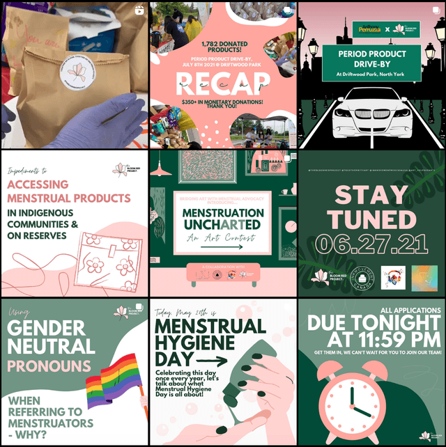 The Bloom Red Project work environment photo 2