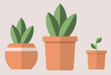 Decorative plant illustration